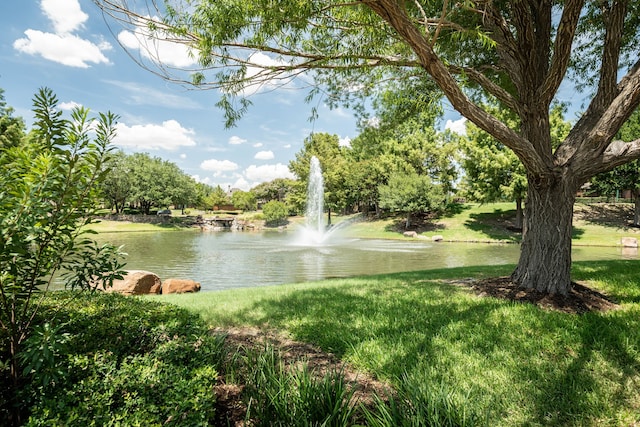 property view of water