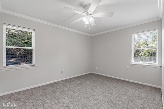 spare room with crown molding, ceiling fan, and carpet flooring