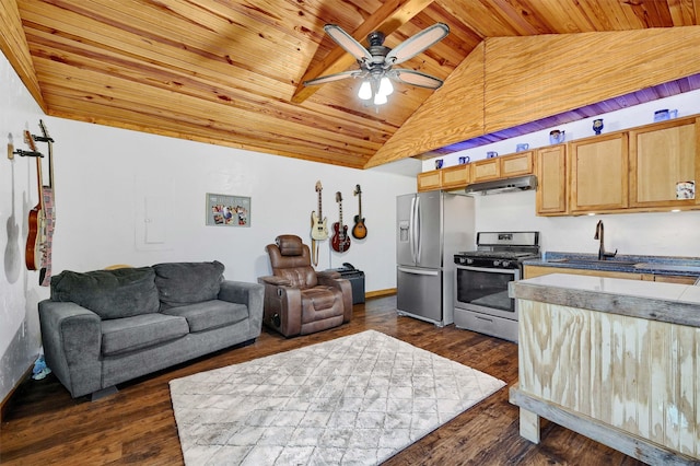 kitchen with stainless steel appliances, sink, lofted ceiling, dark hardwood / wood-style floors, and ceiling fan