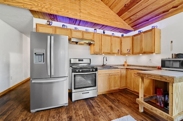 kitchen featuring dark hardwood / wood-style flooring, stainless steel appliances, sink, and lofted ceiling