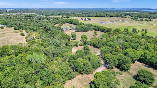 bird's eye view with a rural view