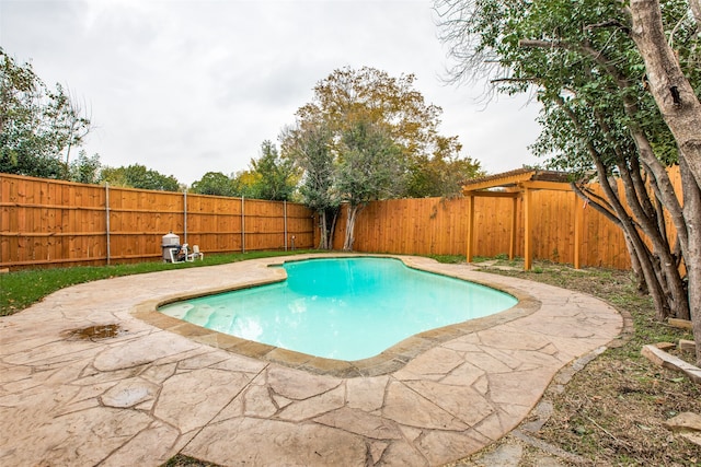 view of swimming pool with a patio area