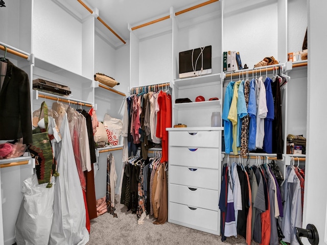 spacious closet featuring carpet flooring