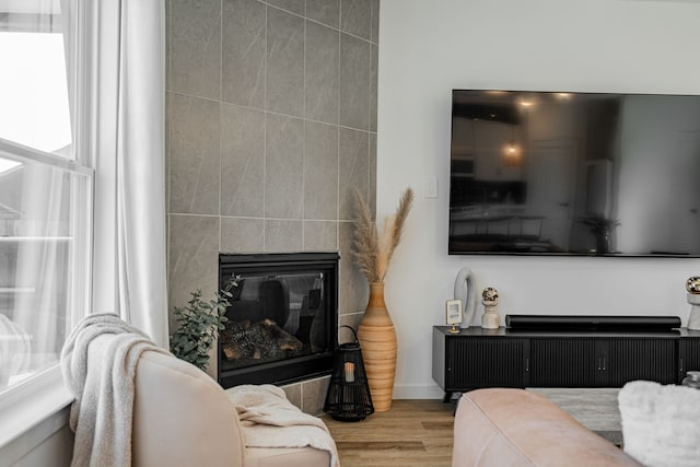 living room featuring light hardwood / wood-style flooring