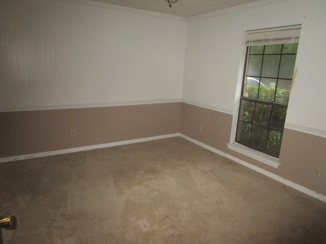 carpeted empty room with ornamental molding