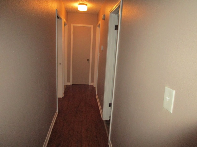 corridor featuring hardwood / wood-style flooring