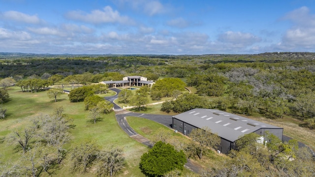 3101 Ranch Road 962 E, Round Mountain TX, 78663 land for sale