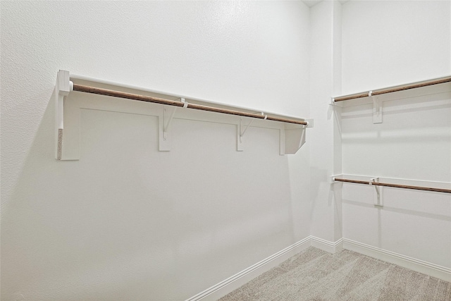 spacious closet featuring carpet floors