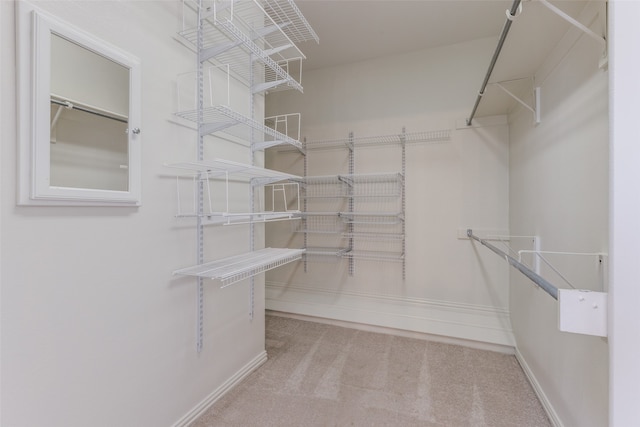 spacious closet featuring carpet floors