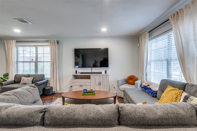 living room with wood-type flooring, plenty of natural light, and crown molding