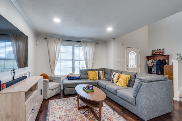 living room with ornamental molding and dark hardwood / wood-style floors