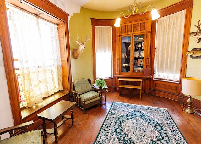 living area with a notable chandelier, plenty of natural light, and dark hardwood / wood-style flooring