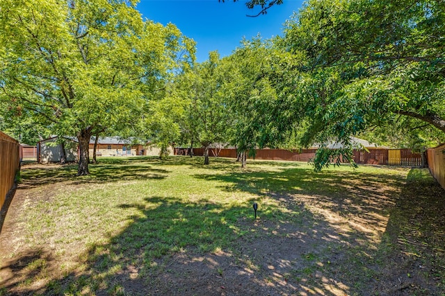 view of yard featuring a shed