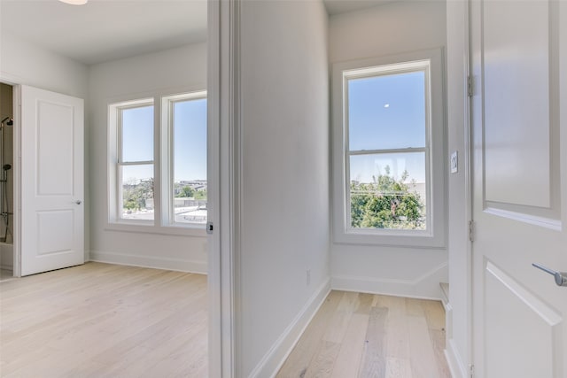 hall featuring light wood-type flooring and plenty of natural light