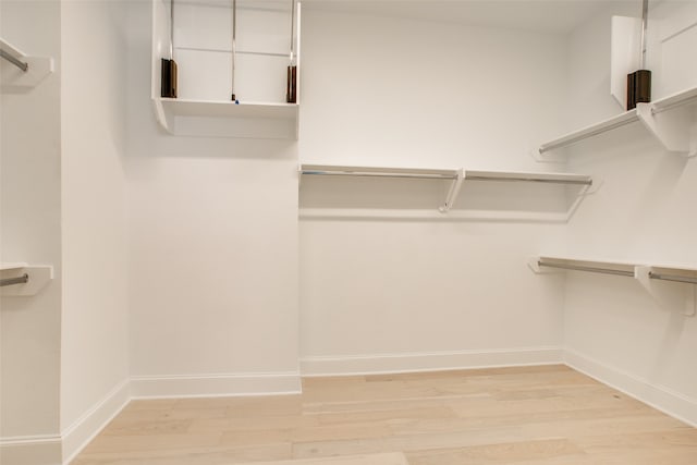 spacious closet with light wood-type flooring