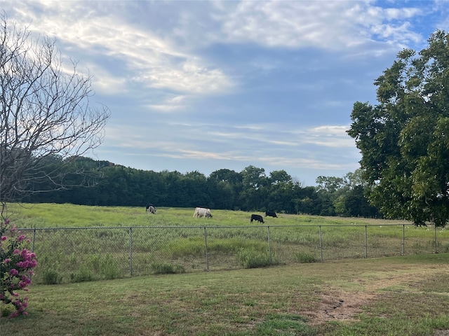 view of yard featuring a rural view