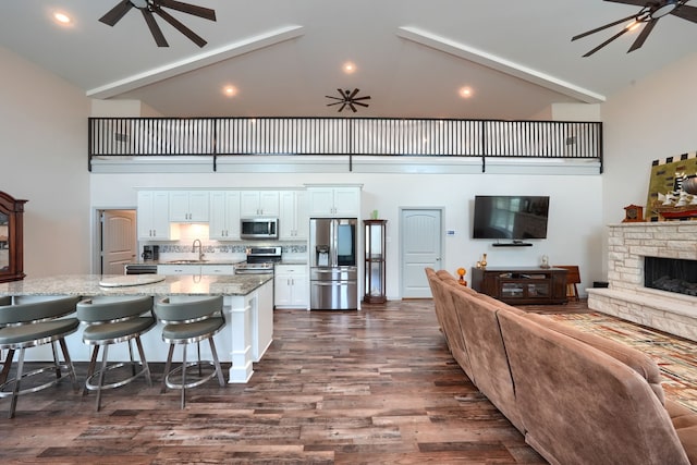 living room with sink, dark wood-type flooring, a fireplace, and high vaulted ceiling