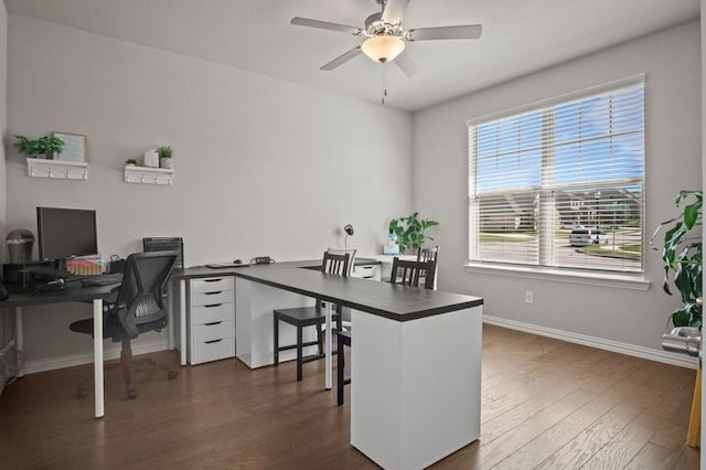 office with ceiling fan and dark hardwood / wood-style floors