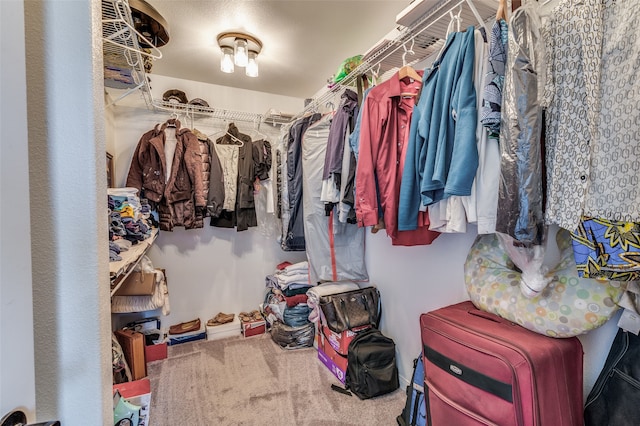 walk in closet with carpet flooring