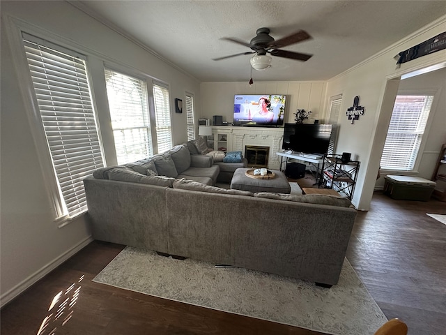 living room with crown molding, dark hardwood / wood-style flooring, and ceiling fan