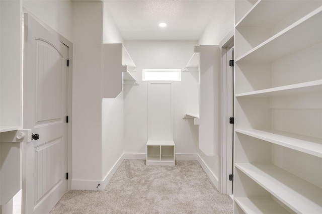 walk in closet with light colored carpet