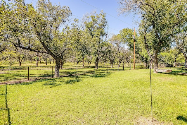 view of yard