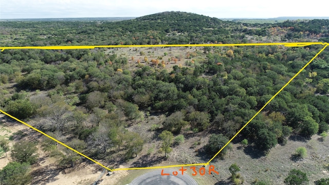 1101 Mountain Bluebird Ct, Possum Kingdom Lake TX, 76449 land for sale