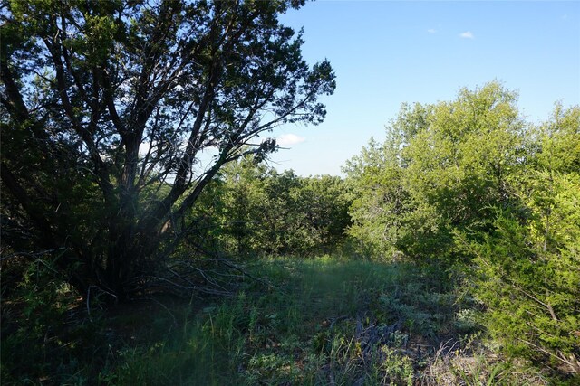 1101 Mountain Bluebird Ct, Possum Kingdom Lake, TX 76449