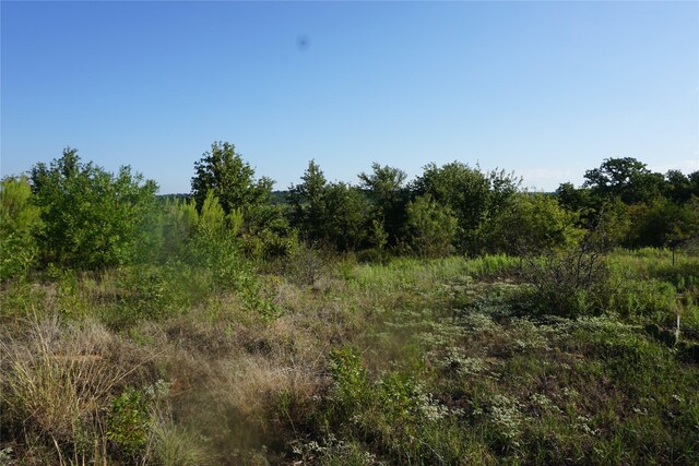 1101 Mountain Bluebird Ct, Possum Kingdom Lake, TX 76449