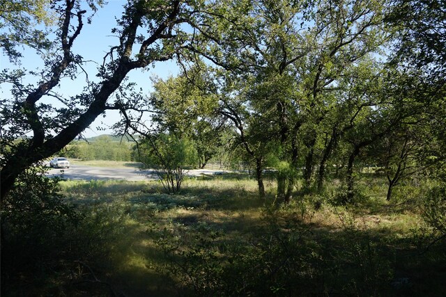 1101 Mountain Bluebird Ct, Possum Kingdom Lake, TX 76449