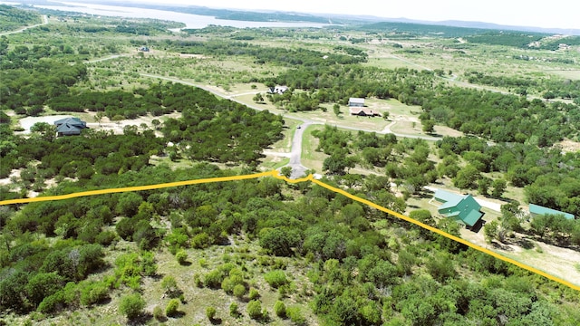 Listing photo 2 for 1101 Mountain Bluebird Ct, Possum Kingdom Lake TX 76449