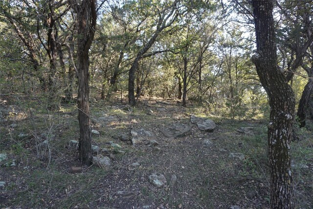 1101 Mountain Bluebird Ct, Possum Kingdom Lake, TX 76449
