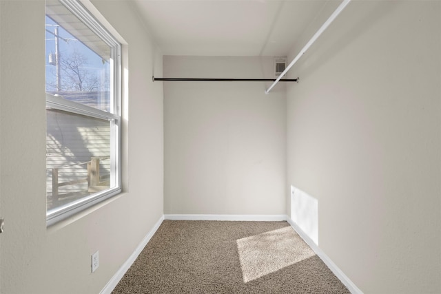 walk in closet with carpet floors