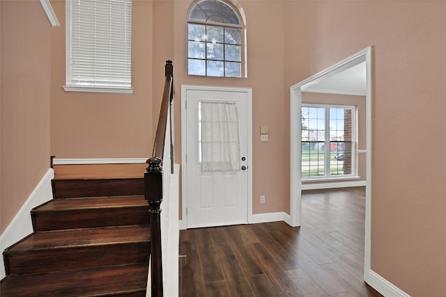 entryway featuring crown molding and dark hardwood / wood-style flooring