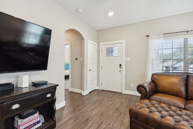 entryway featuring wood-type flooring