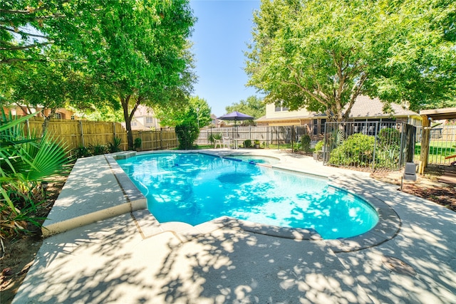 view of pool featuring a patio