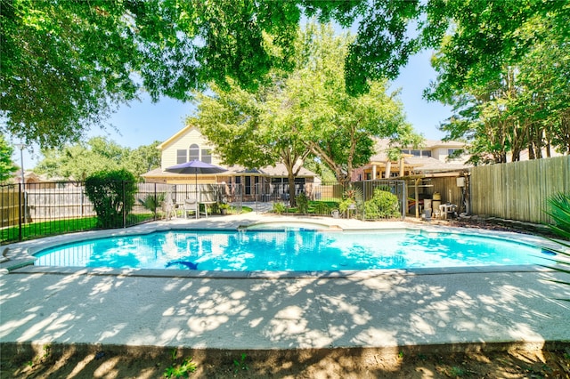 view of swimming pool