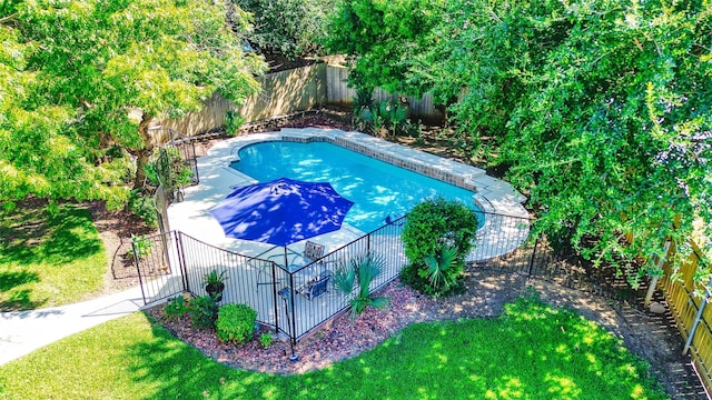 view of swimming pool with a yard