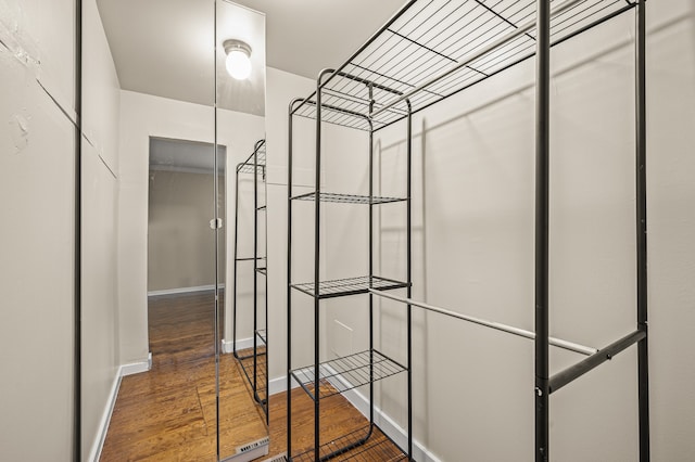 spacious closet featuring wood-type flooring