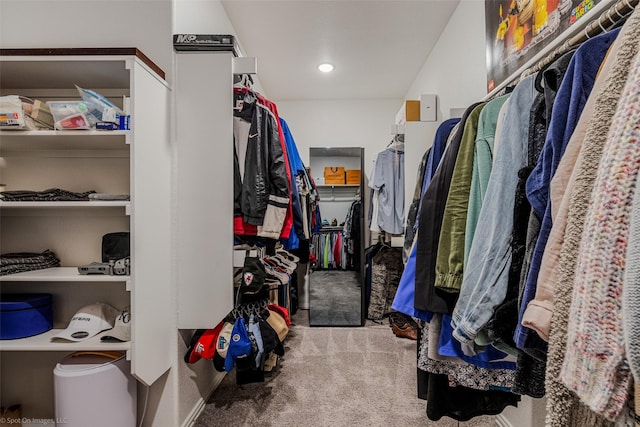 spacious closet with light colored carpet