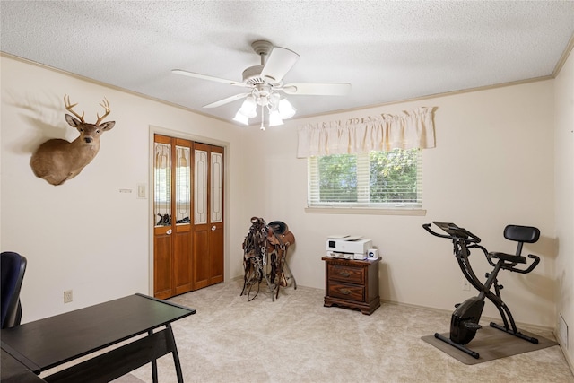 carpeted home office with crown molding, ceiling fan, and a textured ceiling