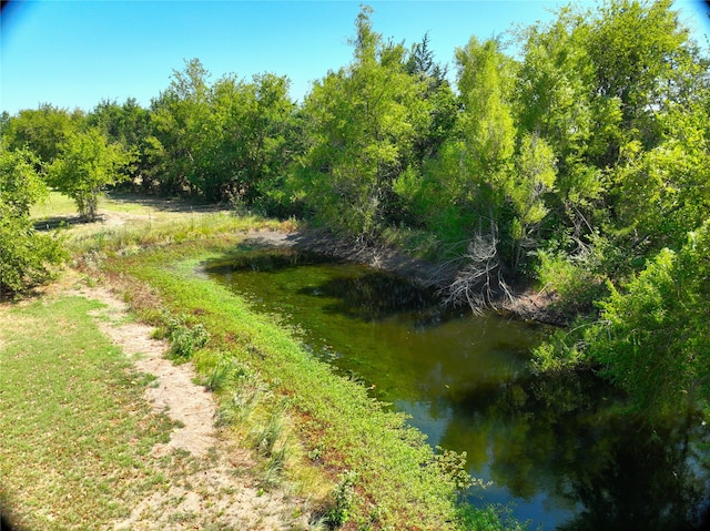 view of local wilderness