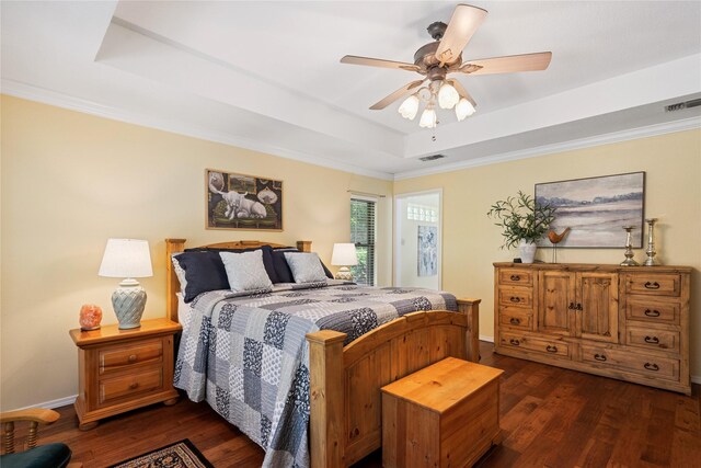 bedroom featuring a tray ceiling, multiple windows, dark wood-type flooring, and ceiling fan