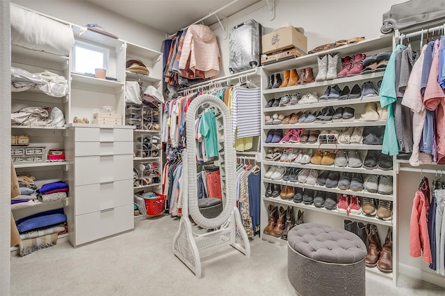 walk in closet featuring light colored carpet