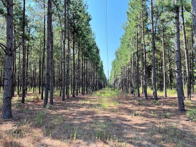 000 County Road 2138, Troup TX, 75789 land for sale