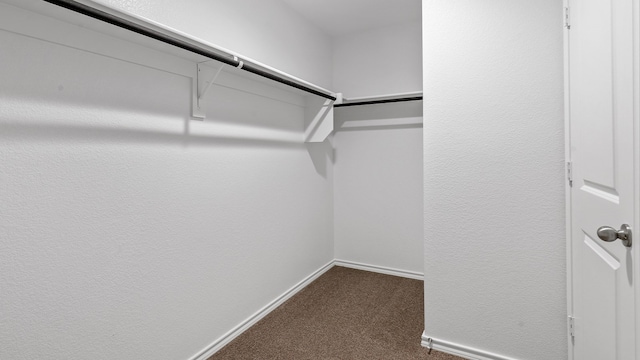 walk in closet with dark carpet