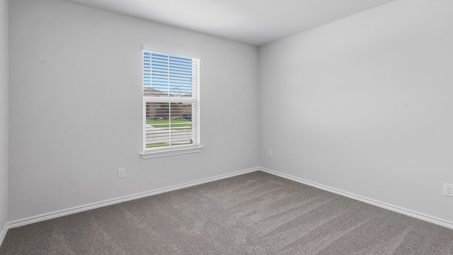 unfurnished room with carpet