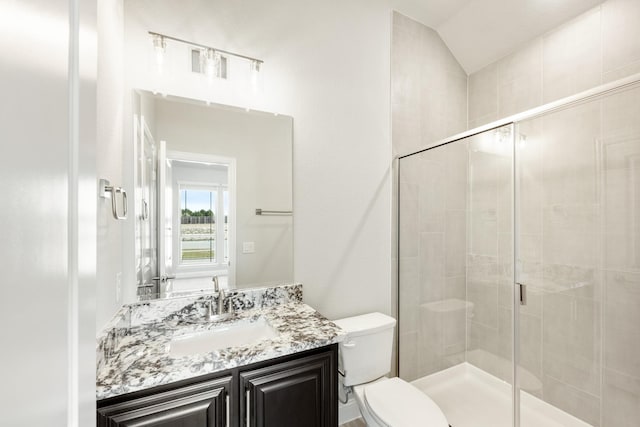 bathroom with vanity, a shower with door, toilet, and lofted ceiling