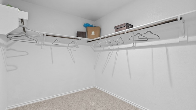 view of spacious closet