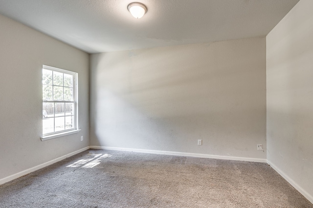 spare room with a textured ceiling and carpet floors